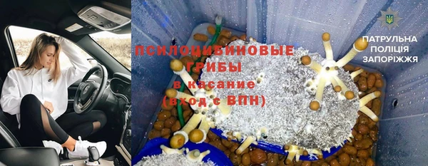 мяу мяу мука Балабаново