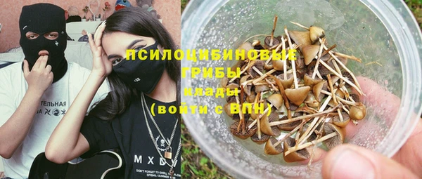 ПСИЛОЦИБИНОВЫЕ ГРИБЫ Балахна