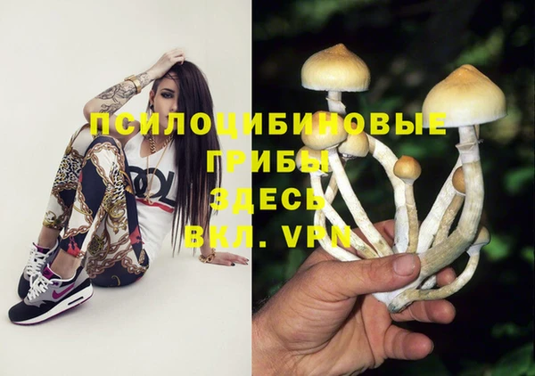 Альфа ПВП Аркадак