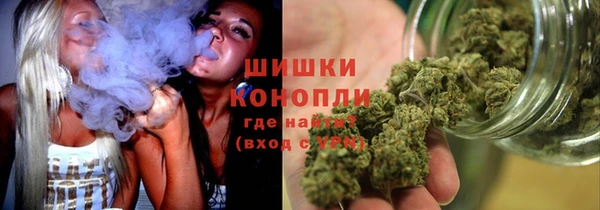 ПСИЛОЦИБИНОВЫЕ ГРИБЫ Балахна