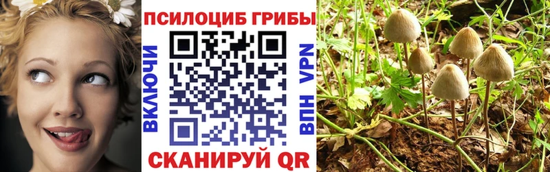 где продают Армянск hydra ССЫЛКА Галлюциногенные грибы MAGIC MUSHROOMS